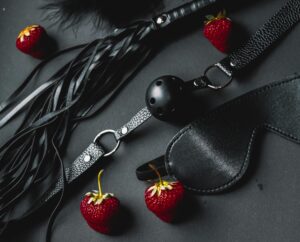 Accessoires BDSM baillonn et masque